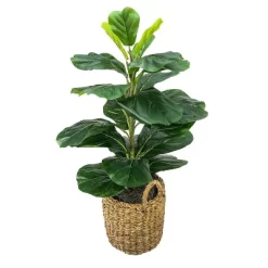30" X 16" Artificial Fig Plant In Basket With Handles - LCG Florals -Wall Charm Deals Store GUEST 14179e98 8db3 4b1b be11 2a1507d70592
