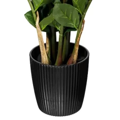 28" Artificial Zamifolia Bush With Pot - Vickerman -Wall Charm Deals Store GUEST 145bfeb6 159a 42dd 83c4 2cce6559a230