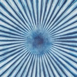 Wood Starburst Radial Plates Framed Wall Art With Black Frame Set Of 4 Blue - Olivia & May -Wall Charm Deals Store GUEST 1c23de00 db81 4318 b536 c1bed7696109