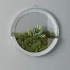 Sullivans Circular Wall Decor Pocket