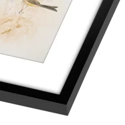 Americanflat 6 Piece Vintage Gallery Wall Art Set - Fall Study, Autumn In The Hills, Mushrooms, Light Bird, Fern Frond By Maple + Oak -Wall Charm Deals Store GUEST 283cd475 82b5 450f a043 491c59829215