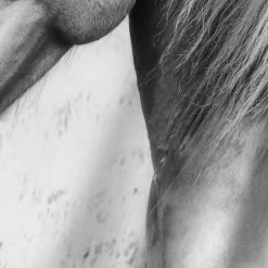 Horse Love By Sisi And Seb Wall Tapestry