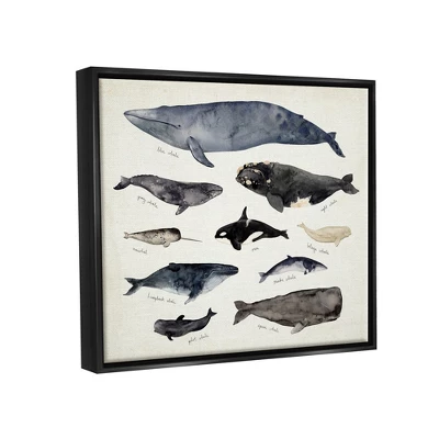 Stupell Industries Vintage Nautical Chart Of Whales Ocean Life 2 Stupell Industries Vintage Nautical Chart Of Whales Ocean Life - Image 2