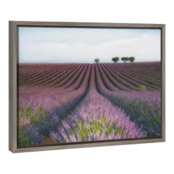 23" X 16" Velours De Lavender Framed Canvas Wall Art - Amanti Art