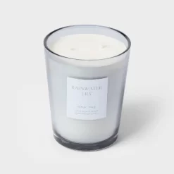 Colored Vase Glass With Dustcover Rainwater Lily Candle Gray - Threshold™ -Wall Charm Deals Store GUEST 4dd3a894 6c80 4248 a2de 93743bf8dee9