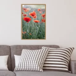 16" X 23" Poppies In Bloom By Brent Bergherm Danita Delimont Framed Canvas Wall Art - Amanti Art -Wall Charm Deals Store GUEST 5936bd63 25e8 4c29 8552 30f8b0e82f83