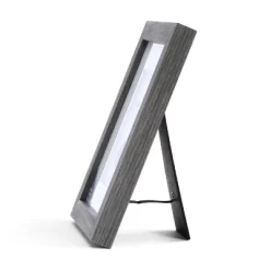 DEMDACO Whiskers On Kittens Wall Art - Gray