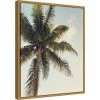 16" X 20" Coconut Palm By Olivia Joy Framed Canvas Wall Art - Amanti Art