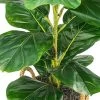 30" X 16" Artificial Fig Plant In Basket With Handles - LCG Florals