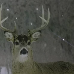 Northlight Fiber Optic Lighted Majestic Buck Canvas Wall Art 12" X 15.75"