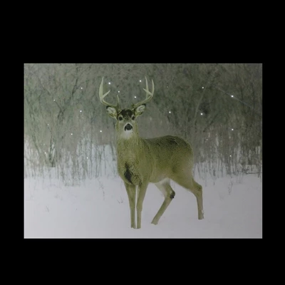 Northlight Fiber Optic Lighted Majestic Buck Canvas Wall Art 12" X 15.75" 2 Northlight Fiber Optic Lighted Majestic Buck Canvas Wall Art 12" X 15.75" - Image 2