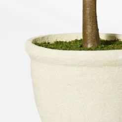 Ficus Tree - Threshold™ Designed With Studio McGee -Wall Charm Deals Store GUEST b527c49c 40e7 4f4d 8026 e60817b7e327