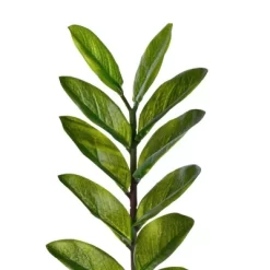 28" Artificial Zamifolia Bush With Pot - Vickerman -Wall Charm Deals Store GUEST cb10619c 8226 465d ac57 5ed4beedf94e