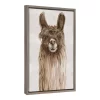 16" X 23" Suri Alpaca I Framed Canvas Wall Art - Amanti Art