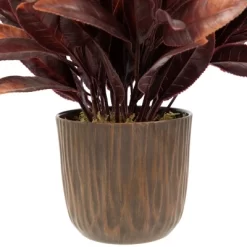 Northlight 8" Two-Tone Artificial Foliage Plant In A Textured Lined Pot -Wall Charm Deals Store GUEST f446d5a9 a8f1 4e58 8704 f8b380dcbdf0